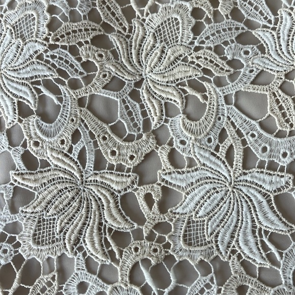 Lace Overlay Pencil Skirt from Ann Taylor - Picture 4 of 9